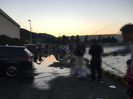 サビキ釣りでマイワシ